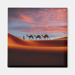 Deserts Man & Camels i Sand Dunes Magnet