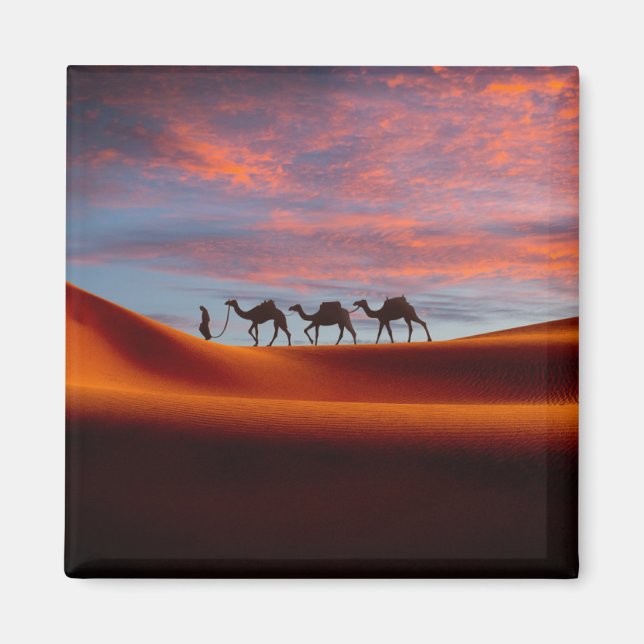 Deserts | Man & Camels i Sand Dunes Magnet (Framsidan)