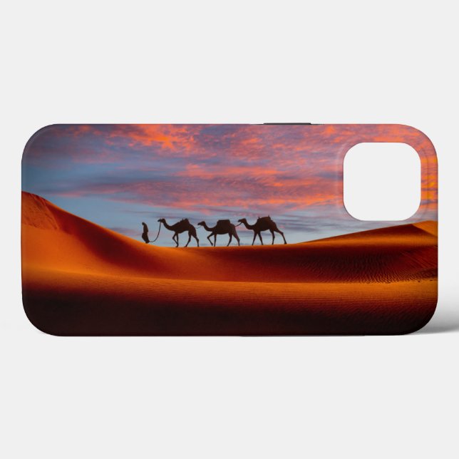 Deserts | Man & Camels in the Sand Dunes (Baksida (horisontell))
