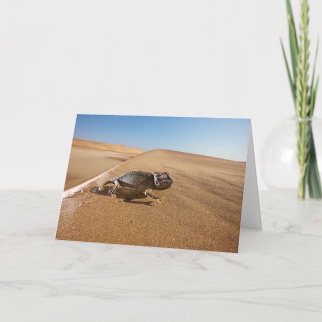 Deserts | Namaqua Chameleon in Desert Kort (Framsida)