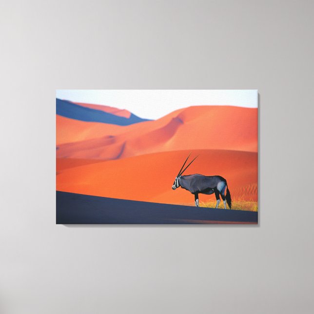 Deserts | Namib Desert Oryx Canvastryck (Framsida)