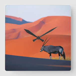 Deserts Namib Desert Oryx Fyrkantig Klocka