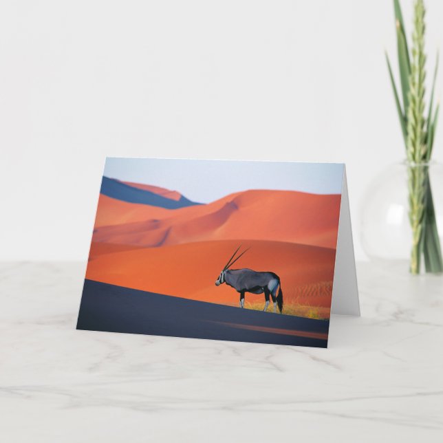 Deserts | Namib Desert Oryx Kort (Framsida)