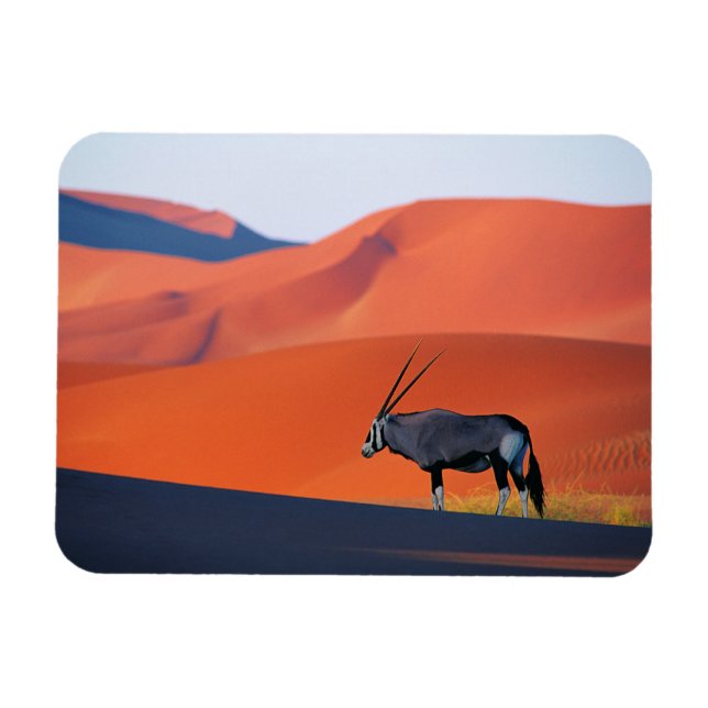 Deserts | Namib Desert Oryx Magnet (Horisontell)