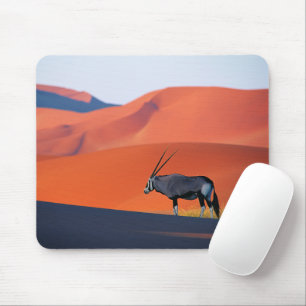 Deserts Namib Desert Oryx Musmatta
