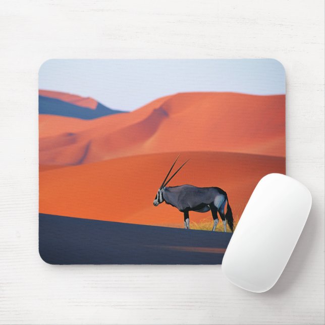 Deserts | Namib Desert Oryx Musmatta (Med mus)