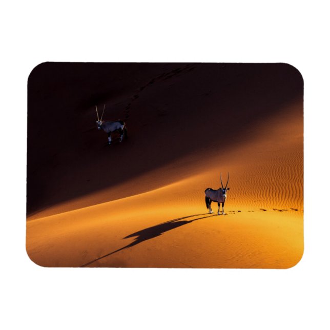 Deserts | Namib Naumft nationalpark Kenya Magnet (Horisontell)