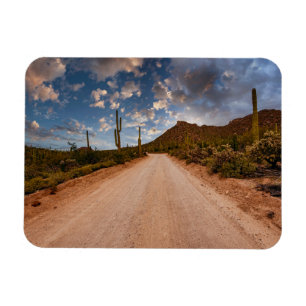 Deserts Nationalparken Arizona i Saguaro Magnet