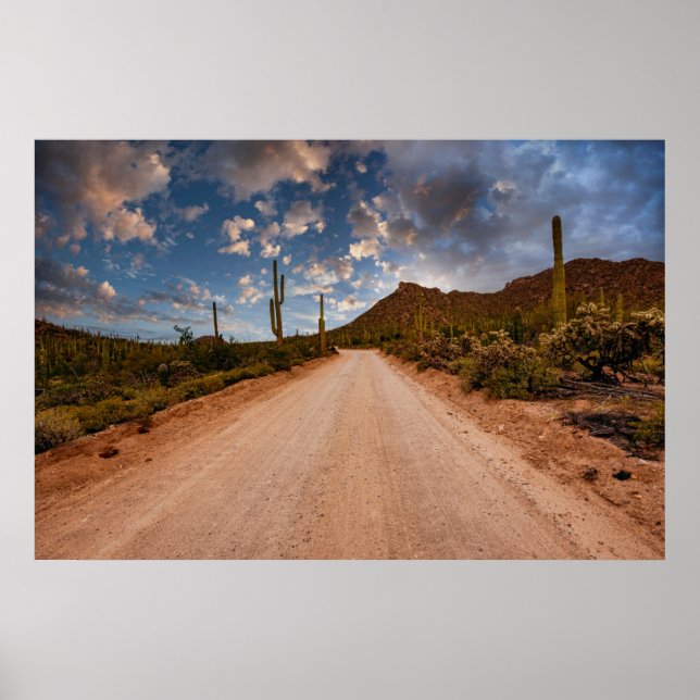 Deserts | Nationalparken Arizona i Saguaro Poster (Framsidan)