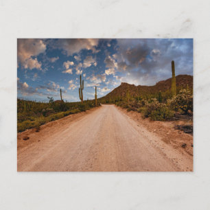 Deserts Nationalparken Arizona i Saguaro Vykort