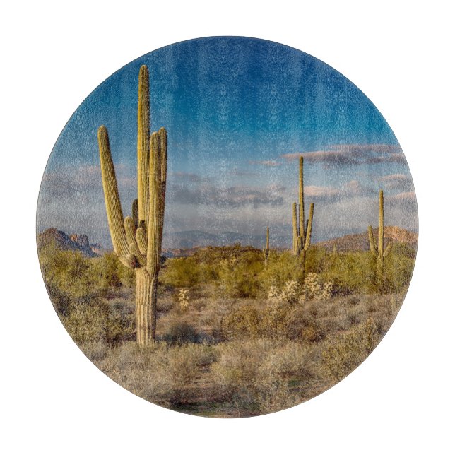 Deserts | Superstition Mountains, Arizona (Framsidan)