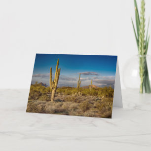 Deserts Superstition Mountains, Arizona Kort