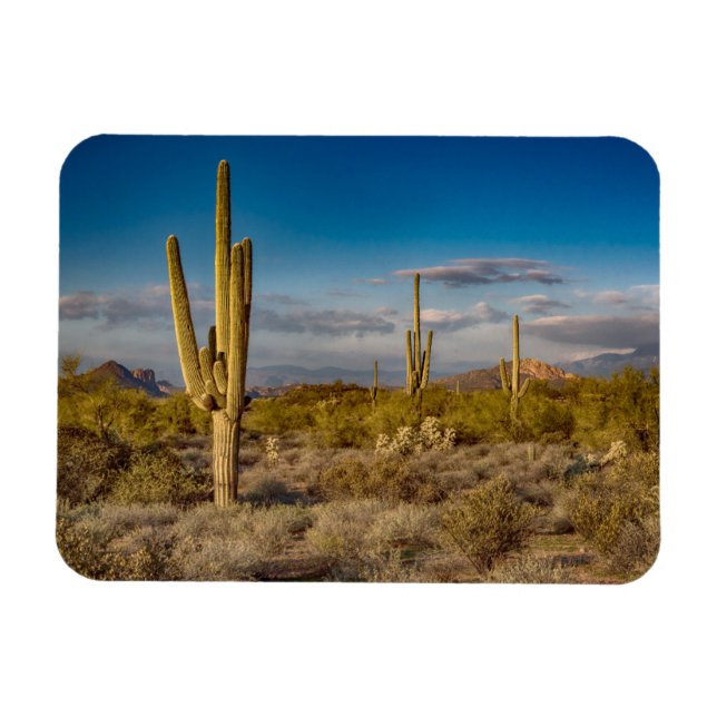 Deserts | Superstition Mountains, Arizona Magnet (Horisontell)