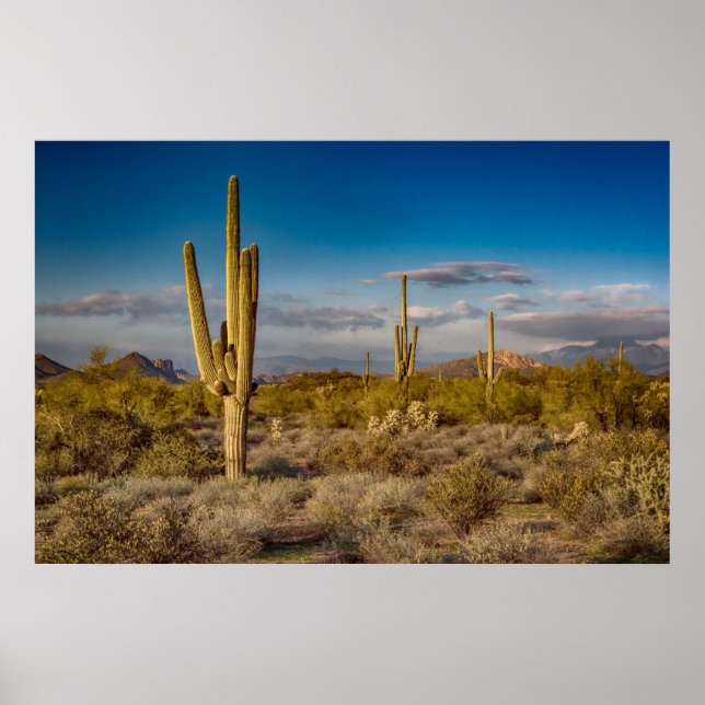Deserts | Superstition Mountains, Arizona Poster (Framsidan)