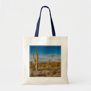 Deserts Superstition Mountains, Arizona Tygkasse
