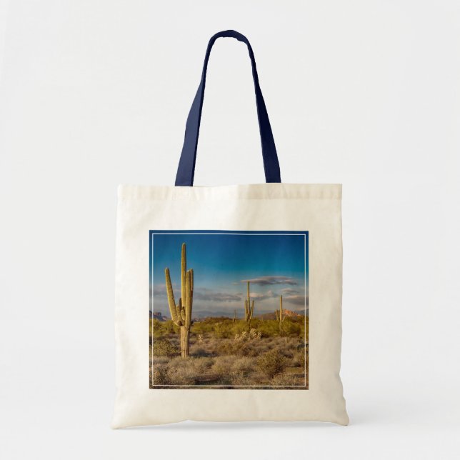 Deserts | Superstition Mountains, Arizona Tygkasse (Framsidan)