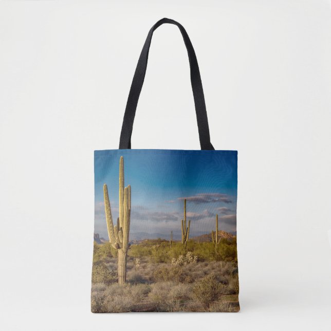 Deserts | Superstition Mountains, Arizona Tygkasse (Framsida)