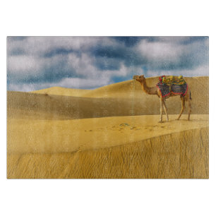 Deserts Thar Desert Rajasthan India Camel