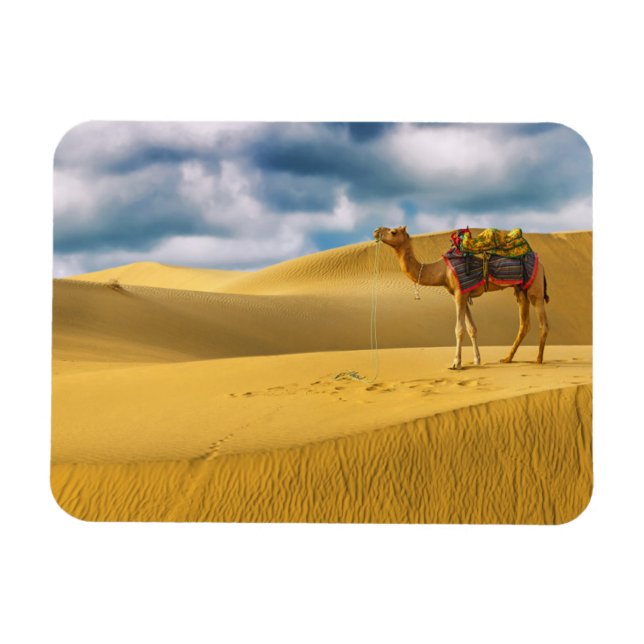 Deserts | Thar Desert Rajasthan India Camel Magnet (Horisontell)