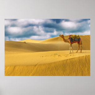 Deserts   Thar Desert Rajasthan India Camel Poster