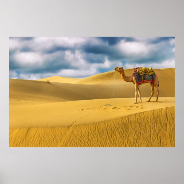 Deserts | Thar Desert Rajasthan India Camel Poster (Framsidan)
