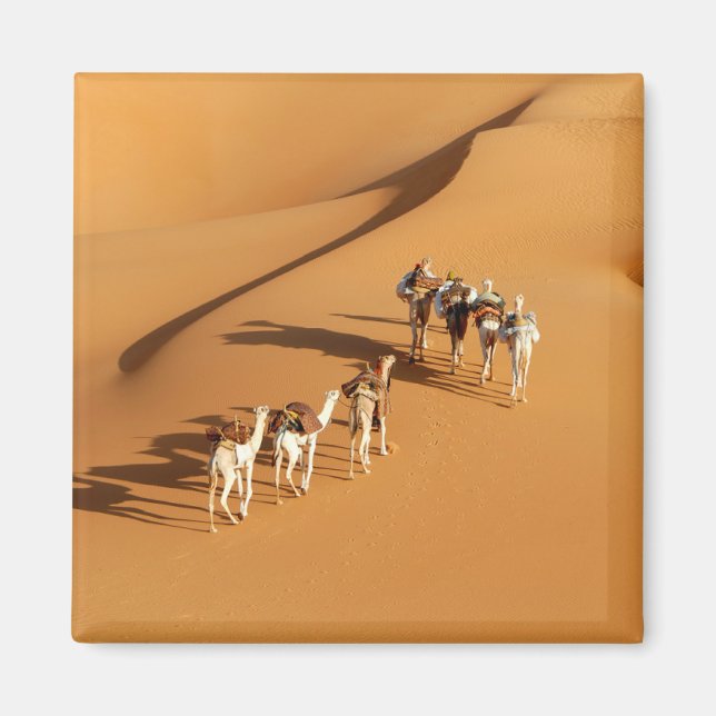 Deserts | Tuareg Walk med Camels Magnet (Framsidan)