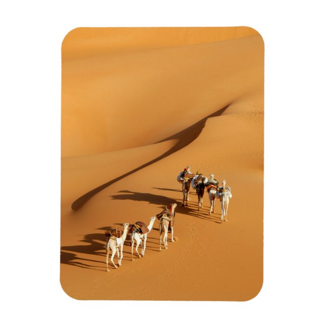 Deserts | Tuareg Walk med Camels Magnet (Vertikal)
