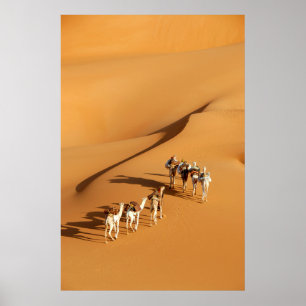 Deserts   Tuareg Walk med Camels Poster