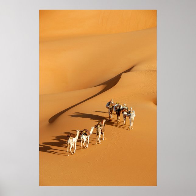 Deserts | Tuareg Walk med Camels Poster (Framsidan)