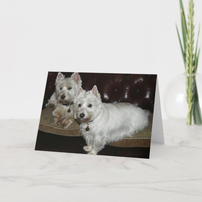 Desi & Lucy Kort (Framsida)