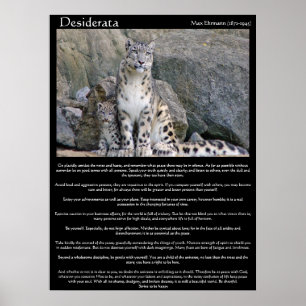 Desiderata 2 cheetahs i berget poster