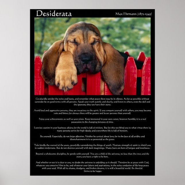 Desiderata Bloodhound Poster (Framsidan)