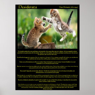 Desiderata Cat Fight Poster