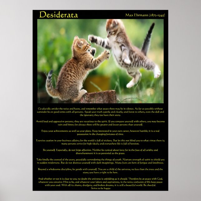 Desiderata Cat Fight Poster (Framsidan)