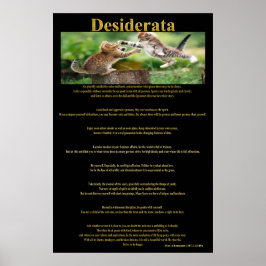 Desiderata Cat Fight Poster 1a