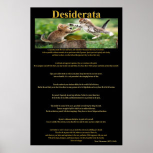 Desiderata Cat Fight Poster 1a