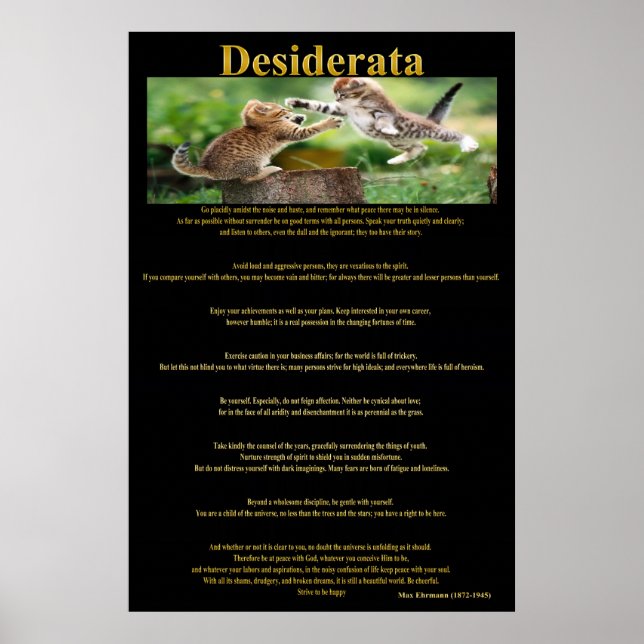 Desiderata Cat Fight Poster 1a (Framsidan)