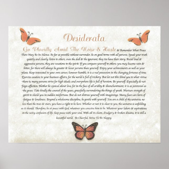 DESIDERATA Cheerful Daisys Poster (Framsidan)