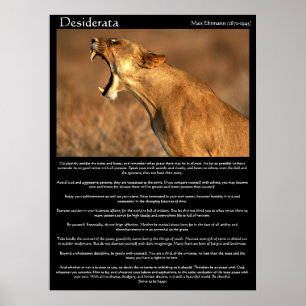 Desiderata cougar som visar tänderna poster