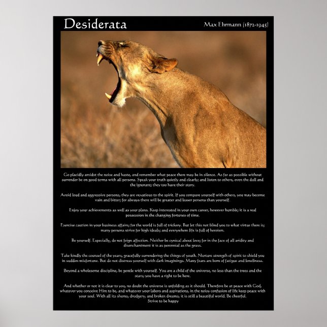 Desiderata cougar som visar tänderna poster (Framsidan)