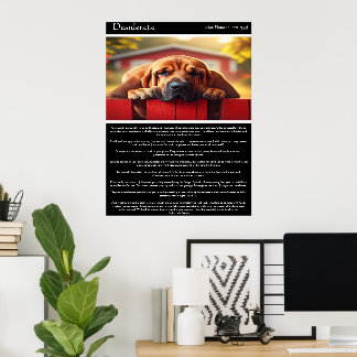 Desiderata: där freden bor poster