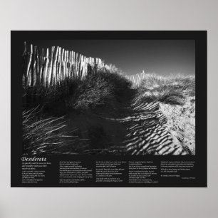 Desiderata Dikt - Fenomenet Dunes, Fin Art Poster