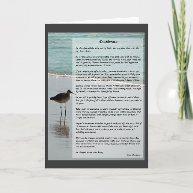 Desiderata Dikt - Fiskmås på Beach-scenen Kort (Framsida)