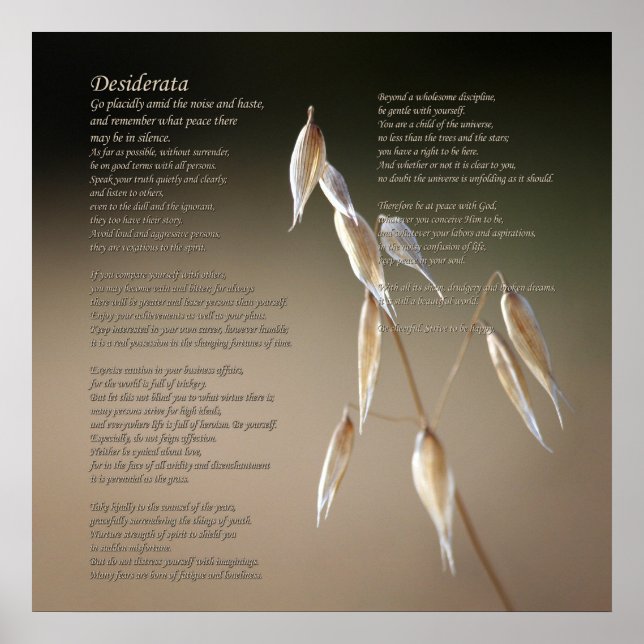 Desiderata Dikt on Frukthavre Vild Oat Poster (Framsidan)