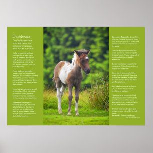 Desiderata Dikt - Ständig Dartmoor Pony Foal Poster