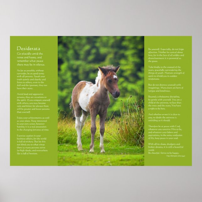 Desiderata Dikt - Ständig Dartmoor Pony Foal Poster (Framsidan)