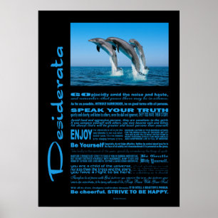 Desiderata Dikt upp delfiner Poster