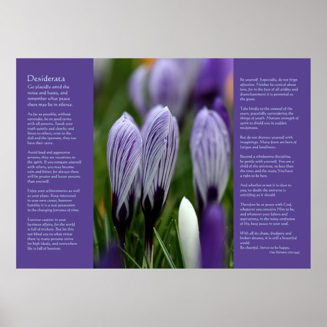 Desiderata Dikt - Variegated Vår Crocuses Poster (Framsidan)