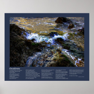 Desiderata - Eager Tide Poster