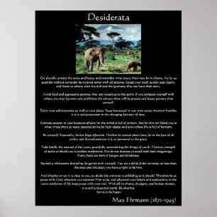 Desiderata en elefantbesättning i afrika Poster